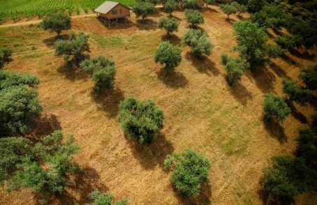 Castello di Serragiumenta - Foto 45