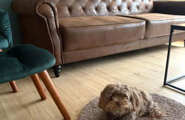 Ferienhaus nähe Stadtpark, renoviert, Businesswohnung, Monteurwohnung, Geschäftsreisendewohnung, Garten, Balkon,Parkplatz - Foto 14