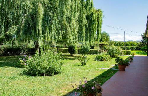 Agriturismo Terra Di Elea azienda agricola di Raimondo MIchela - Foto 35