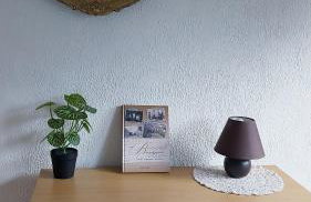 Apartma Laganini - Foto 26