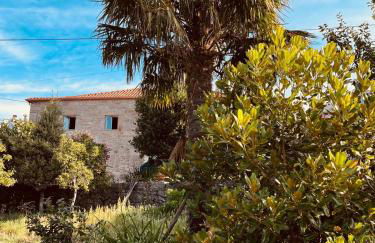 Vila Adelaide - Foto 24