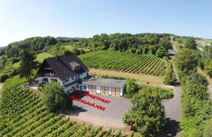 DAS Apartment am Weinberg - Foto 2