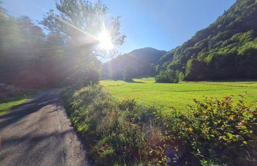 Le Chalet du Tanet spa sauna terrasse en Alsace - Foto 29