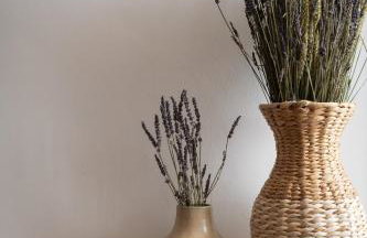 Nomas lifestyle living - Foto 33