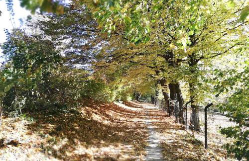 Apartamenty RÓŻANA 2 - Foto 7