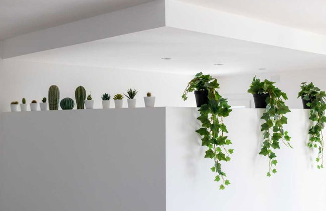 Solemar Sicilia - Villa delle Rocce - Foto 1