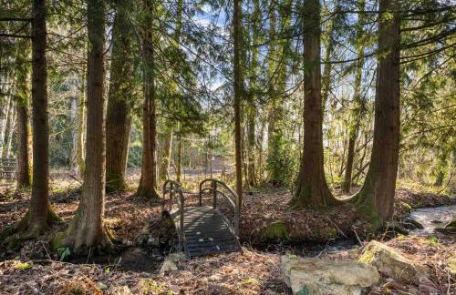 Moose Meadow - Foto 32