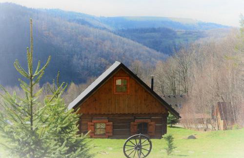 Osada Jelonki Wielka Puszcza - Foto 60