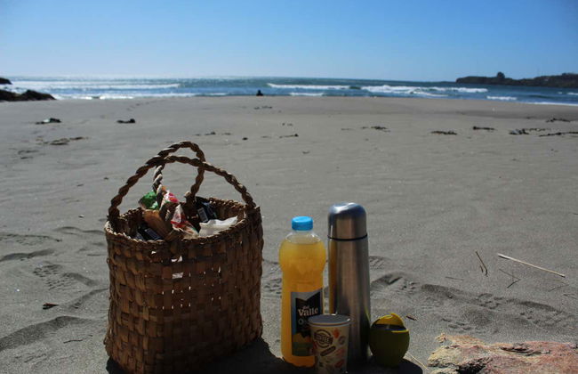 Alerce Costero National Park Day Trip - Photo 7