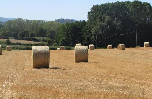 SommaVilla B&B - Foto 47