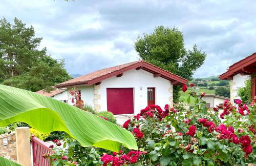 Le jardin d'Opporak - Jardin privé avec vue montagne - Foto 4
