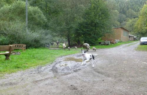 Neumühle from April 2014! - Foto 15