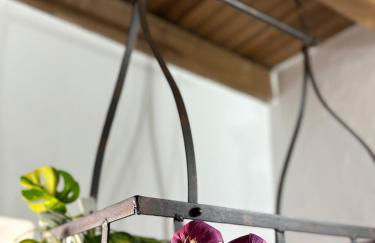 Maruan Heaven - Photo 30