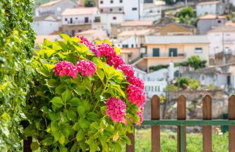 Casa de São Bernardo by LovelyStay - Foto 10
