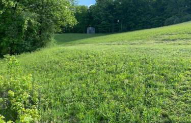 Home in the Heart of W.V. Adventure Country! - Photo 46