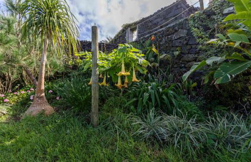 Atlantico Apartments - Photo 45