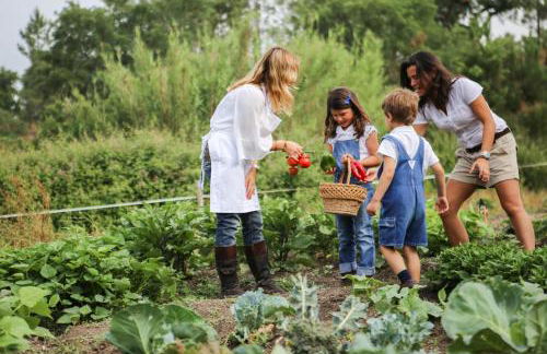 Monte Do Areeiro - Foto 35