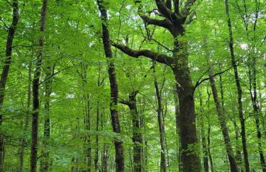 Le Refuge de la Doucette - Foto 27