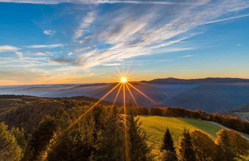 Feriendomizil am Rössleberg, Hinterzarten - Foto 28