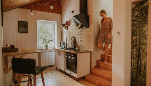 Przylesie 12 - Foto 3, stove