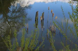 Ferienhof Berghof - Foto 92