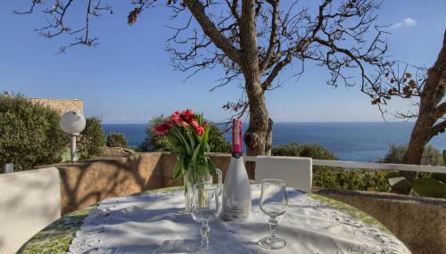 Scogliera del Gabbiano - Foto 2, Garden view