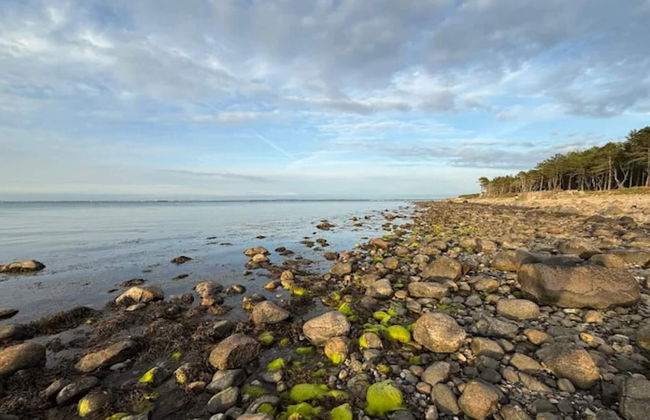 5 Person Holiday Home in Dronningmolle - Foto 49