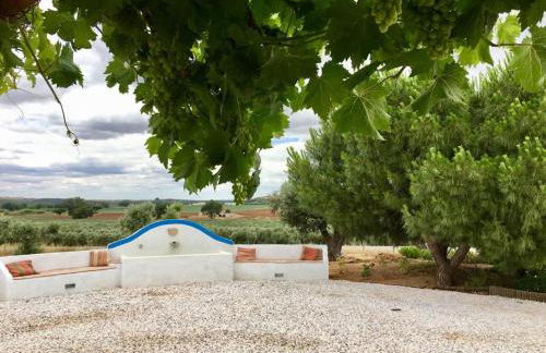 Monte Capitão Country house - Foto 19