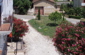 La Capanna - Foto 15