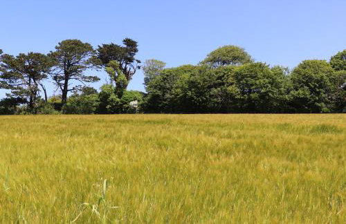 Little Pip - Foto 23