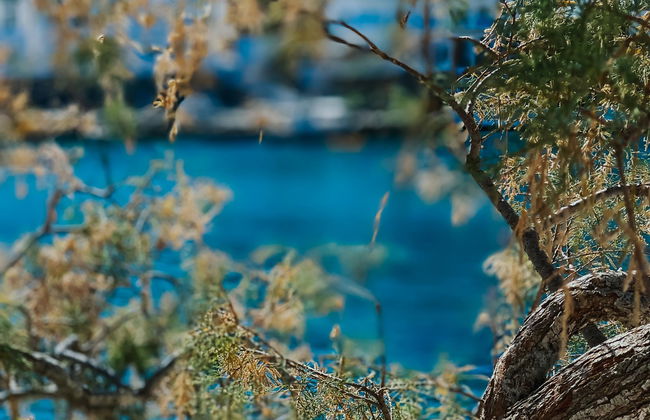 Vithos Aparthotel - Foto 6