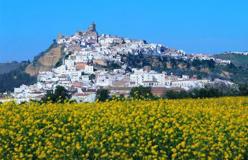 Arcos Gardens Sol Rent Golf - Foto 104