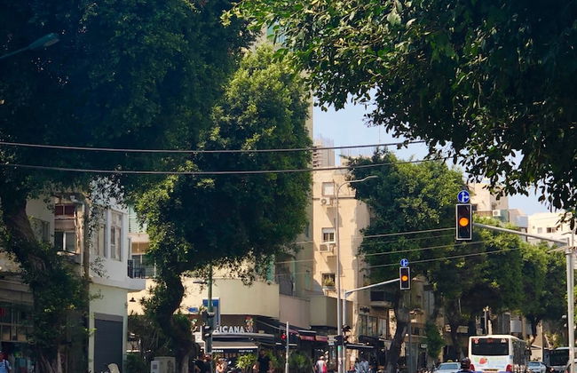 Classic 1BR in City Center near Beach by FeelHome - Photo 16