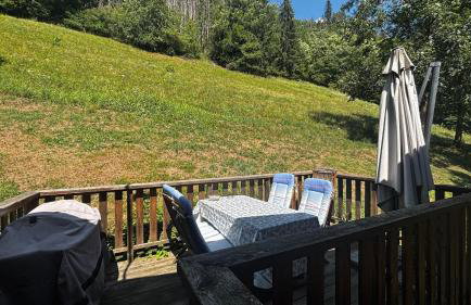 Le chalet de Bernoline vaste appartement tout confort - Foto 50
