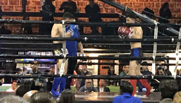 Enjoying a live boxing match