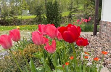 Filipówka - dom z sauną w Karkonoszach - Foto 35