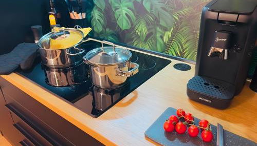 Apartment Jungle Escape - Foto 4, stove