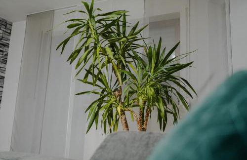 Modern - ruhige Lage - zentrumsnah - 2 Zimmer Apartment - Foto 19