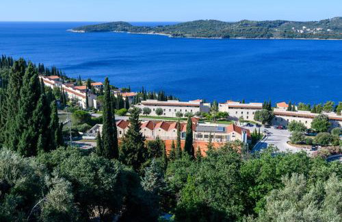 Apartment MARIO - veliki stan za odmor - terasa- vrt - bazen - pogled more, izoliran - Photo 5