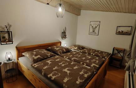 Sauerland Alm Winterberg 5 - Foto 14