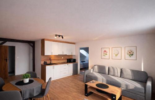 Apartamenty Nad Pilicą - Klimatyzacja - Sulejów - Foto 71