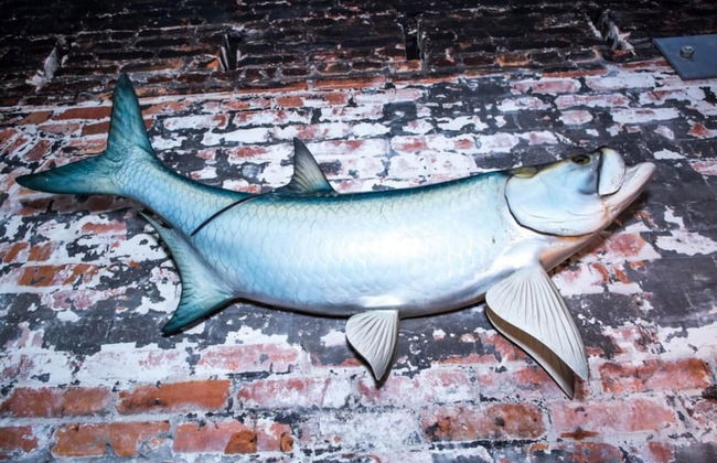 80 LEX 202 Iconic Location Park Free Off Street - Foto 23