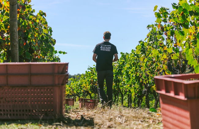 Casa Darcã - Foto 49