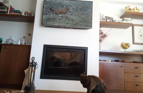 Quinta da Aldeia Nova - Foto 44