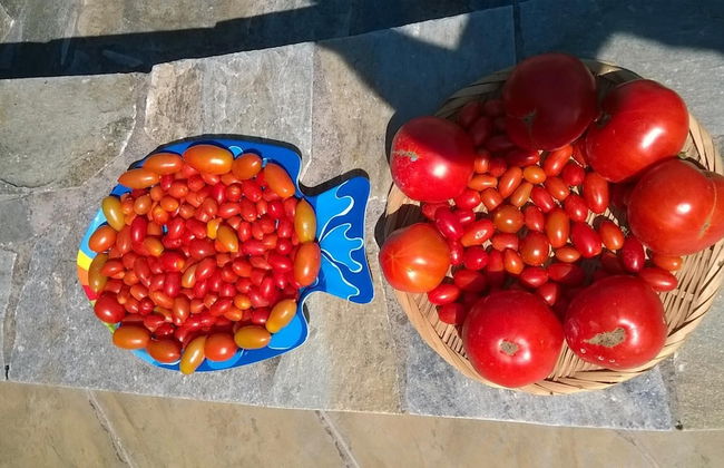 Primavera Villa Sea View - Foto 32