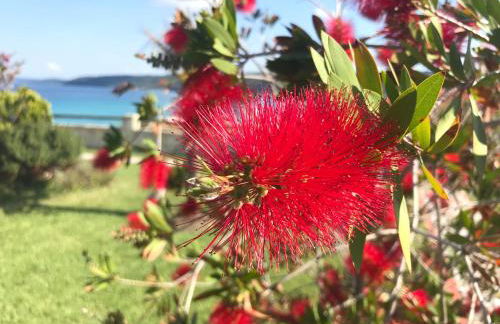 Villa Fourka on the beach - Photo 48