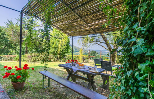 Pino di Sopra - Foto 66