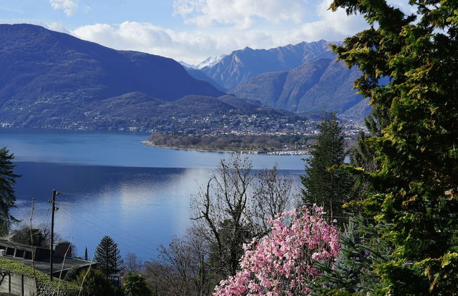 Garden on the Lake 1 - Foto 13