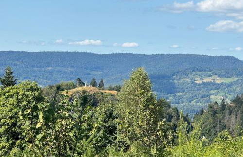 Le colibri au pied des ballons des Vosges - Foto 11