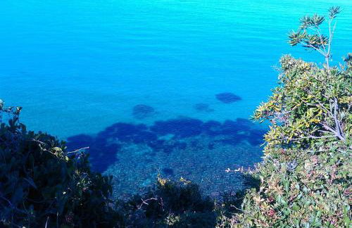 Gites Carolina - Foto 25